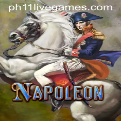 Exploring the Strategic World of Napoleon: A Unique Card Game